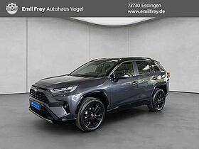 Toyota RAV 4 2.5 4x4 Hybrid Style Selection RAV4