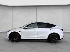 Tesla Model Y Performance Dual Motor Skyview Basis