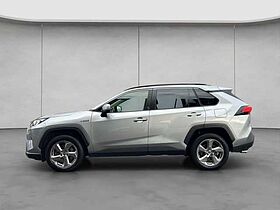 Toyota RAV 4 2.5 4x4 Hybrid Team Deutschland RAV4