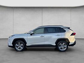 Toyota RAV 4 2.5 4x4 Hybrid Lounge Panoramadach RAV4