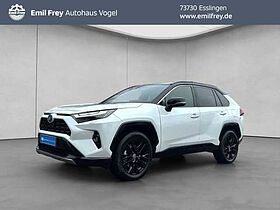 Toyota RAV 4 2.5 4x4 Hybrid Style Selection RAV4