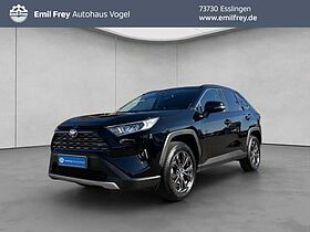 Toyota RAV 4 2.5 4x2 Hybrid Team Deutschland RAV4